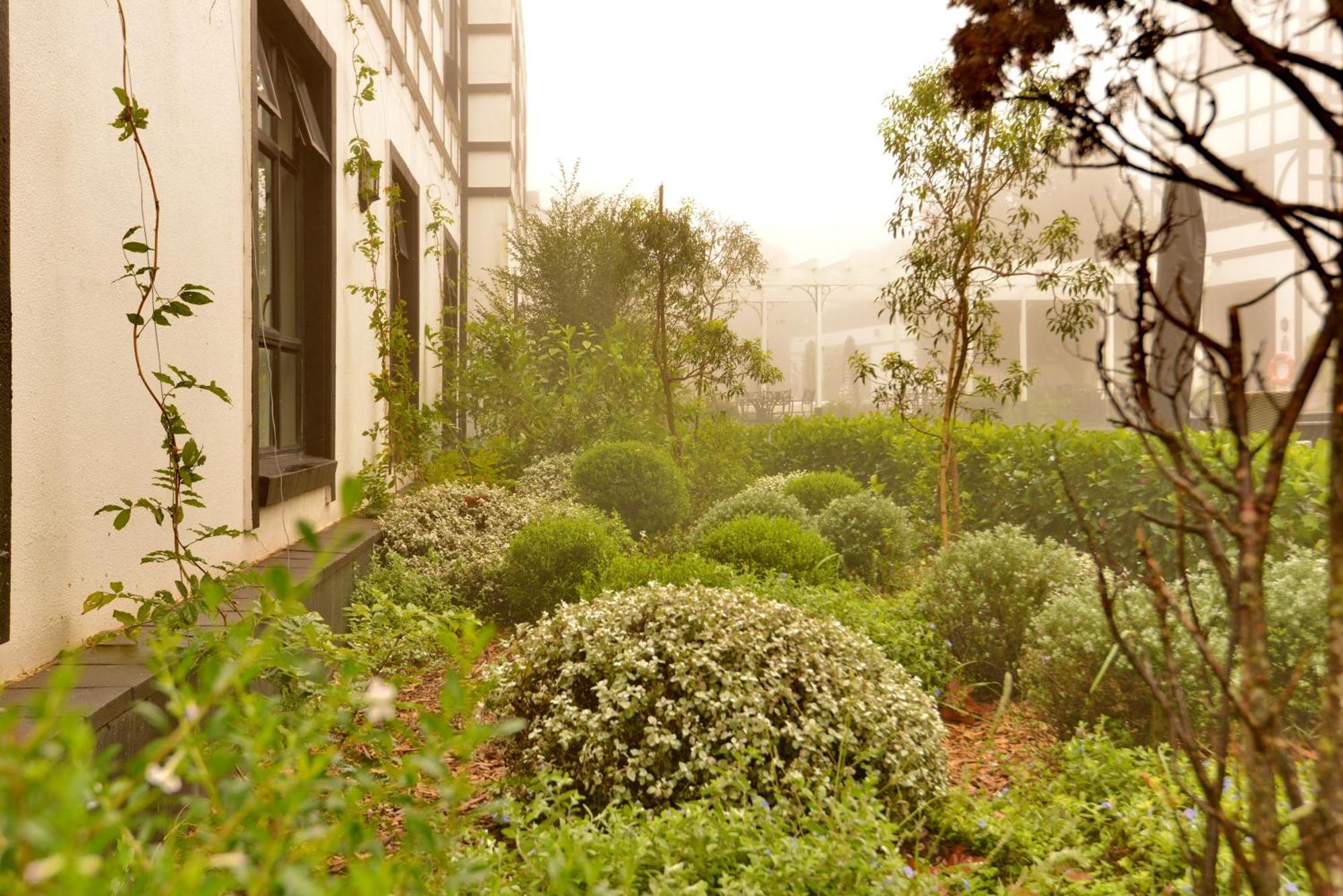 Anew Hotel Hilton Pietermaritzburg Dış mekan fotoğraf